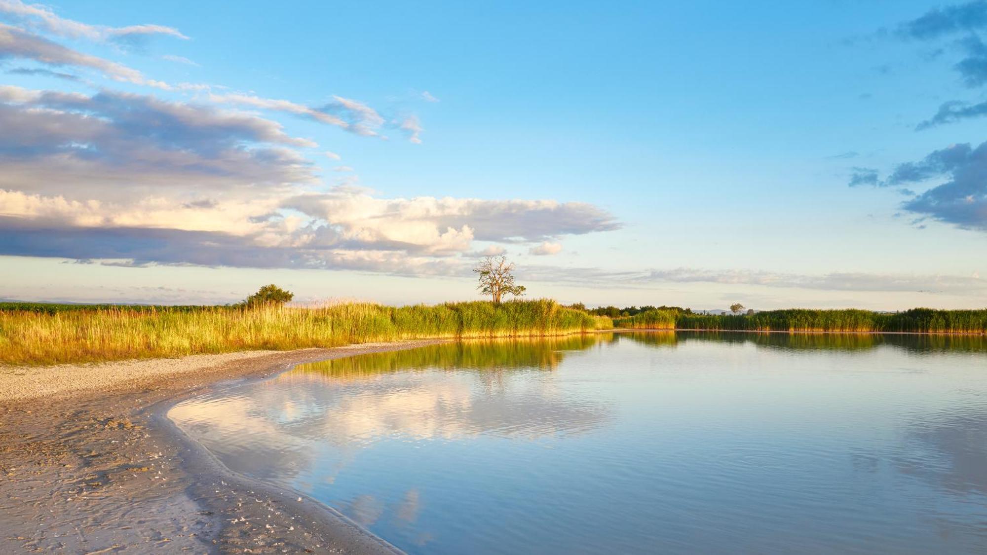 Pannonia Apartments Mörbisch am See Eksteriør billede