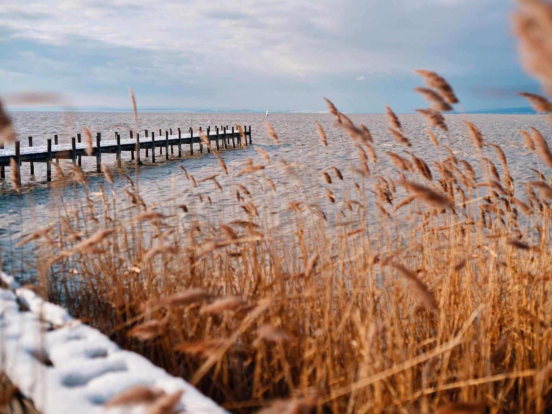 Pannonia Apartments Mörbisch am See Eksteriør billede